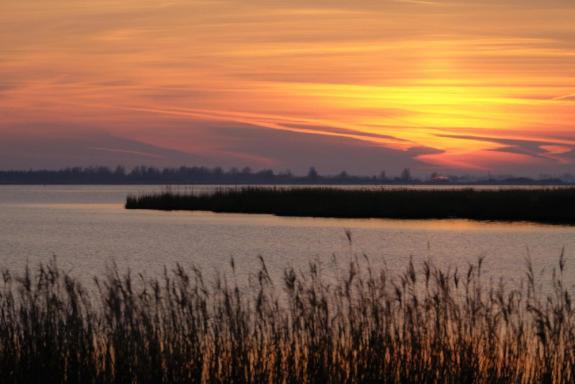 Enjoy Meer Und See Ferienhaus -In Lauwersoog- 1-6 Pers- 3 Schlafzimmer- Fruehes Einchecken Ab 14 Uhr מראה חיצוני תמונה